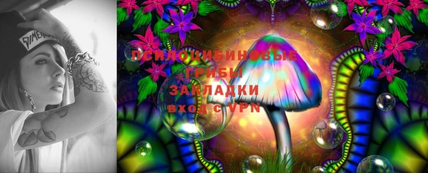 винт Белокуриха